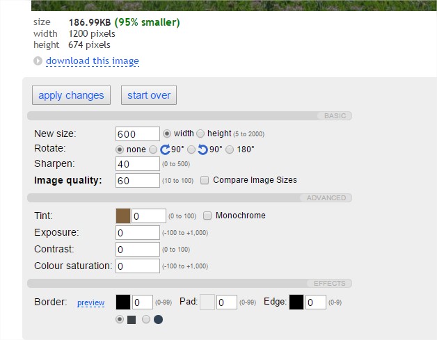 Captura del formulario en el que indicamos a Web Resizer el nuevo tamaño y otras modificaciones
